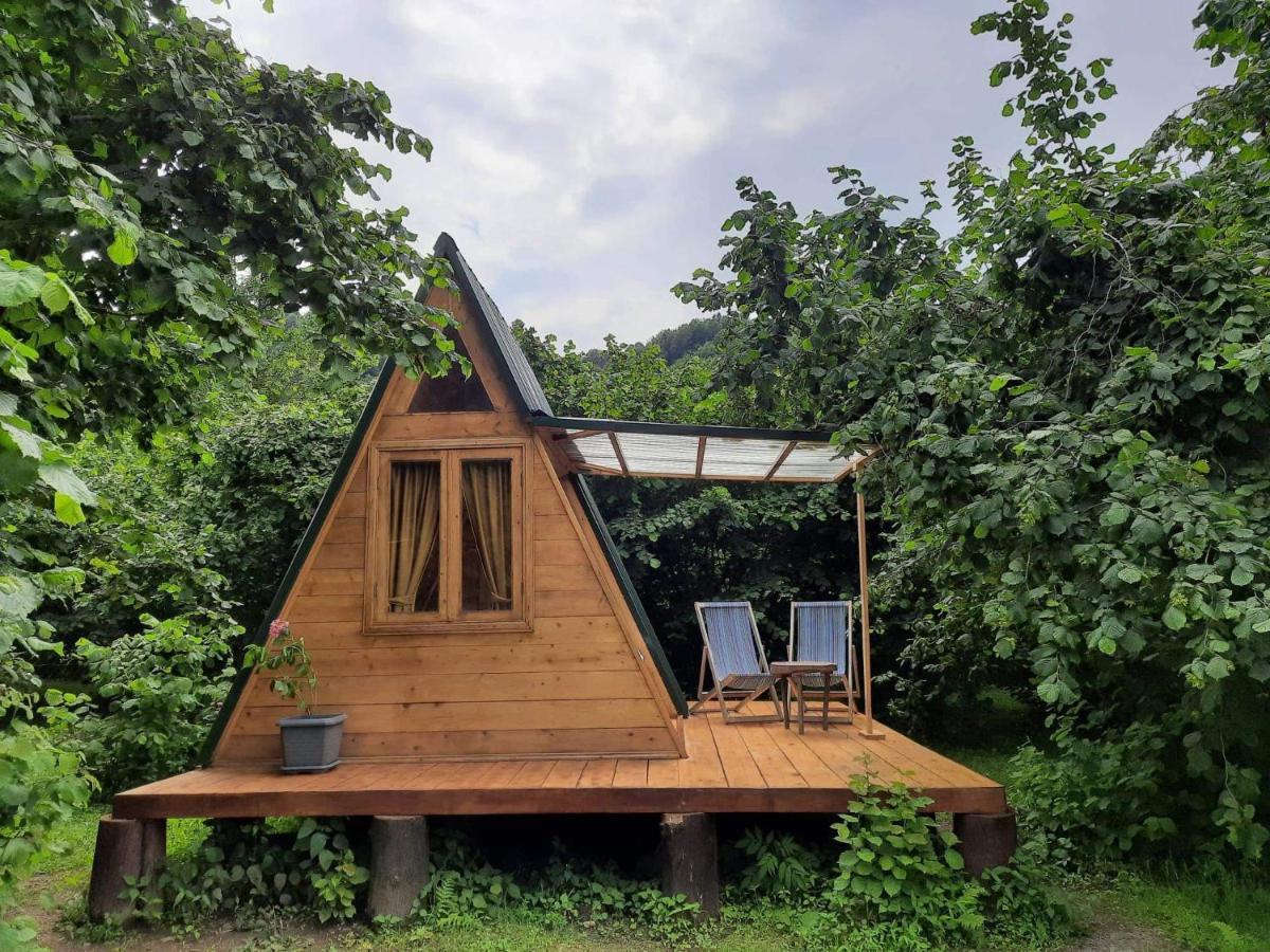 Dumbo Eco Camp Hotel Ozurget'i Exterior foto
