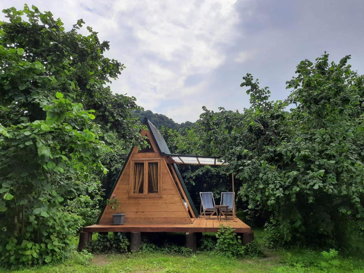 Dumbo Eco Camp Hotel Ozurget'i Exterior foto